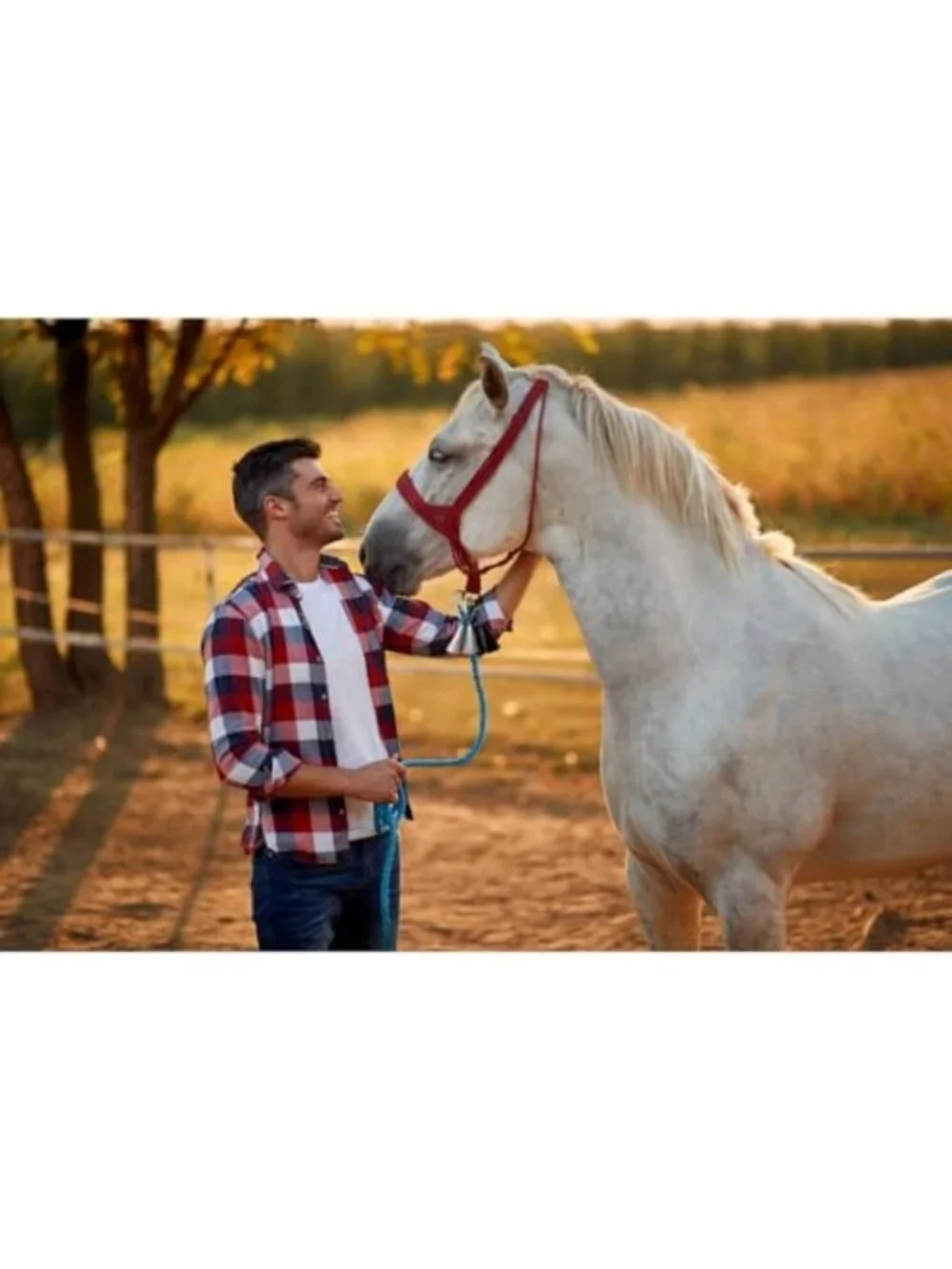 Handcrafted Horsehair Keychain Set | Western Double Tassel | 5.1
